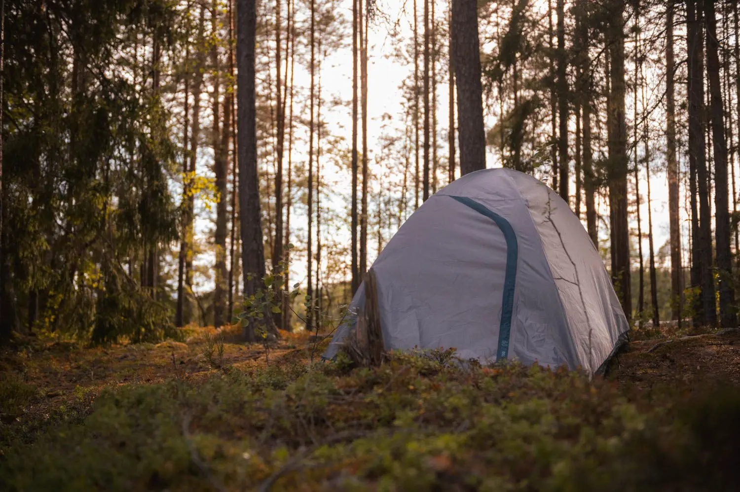 tente de camping