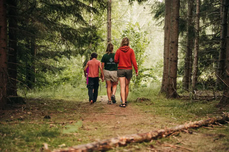 enfants dans les bois