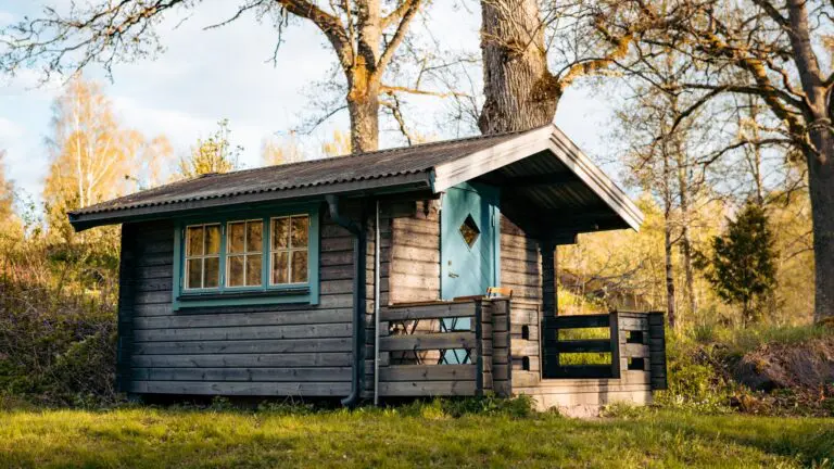 cabane rustique en bois avec porte bleue dans une forêt ensoleillée
