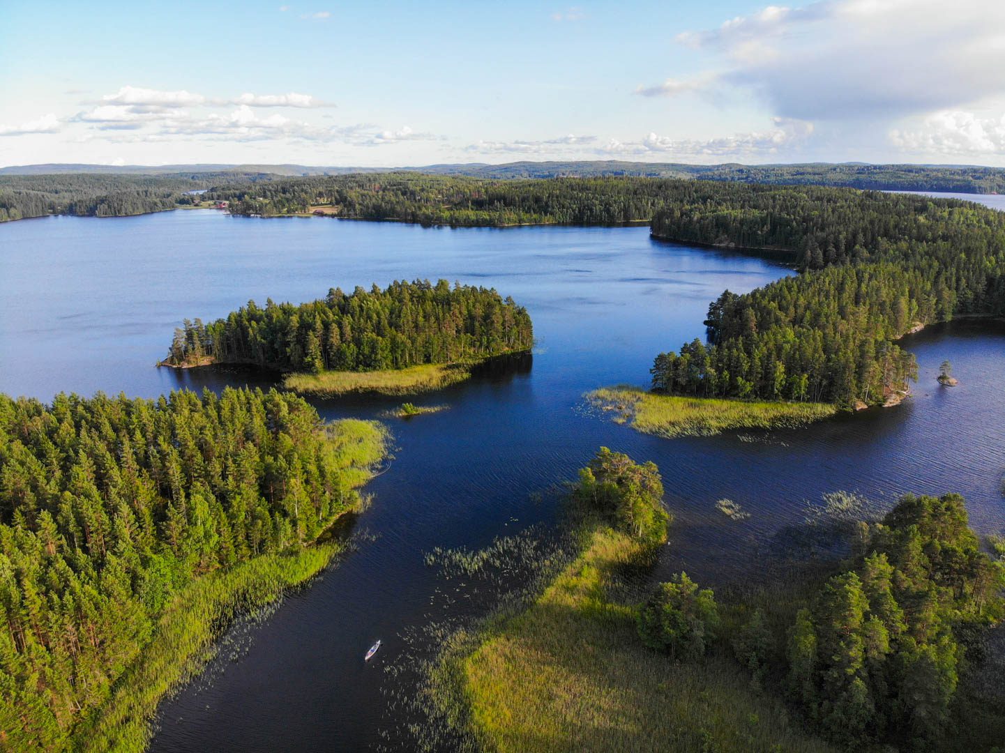 La nature suédoise