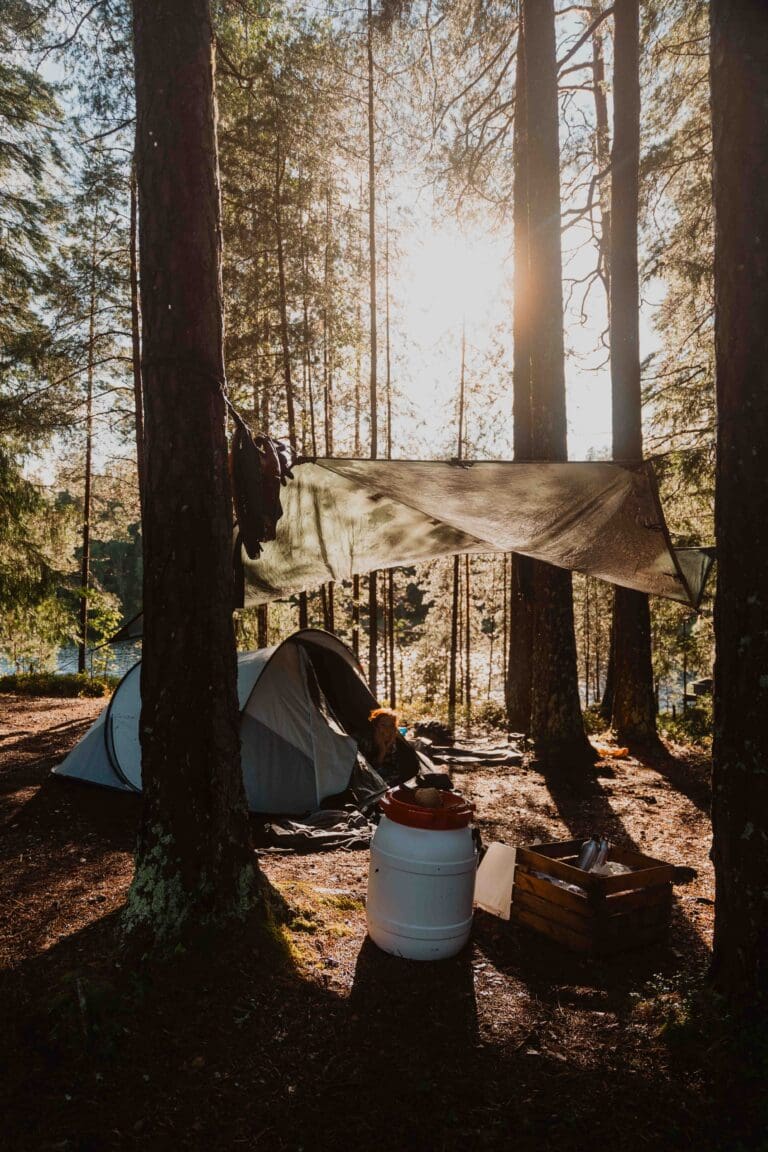 camping sauvage
